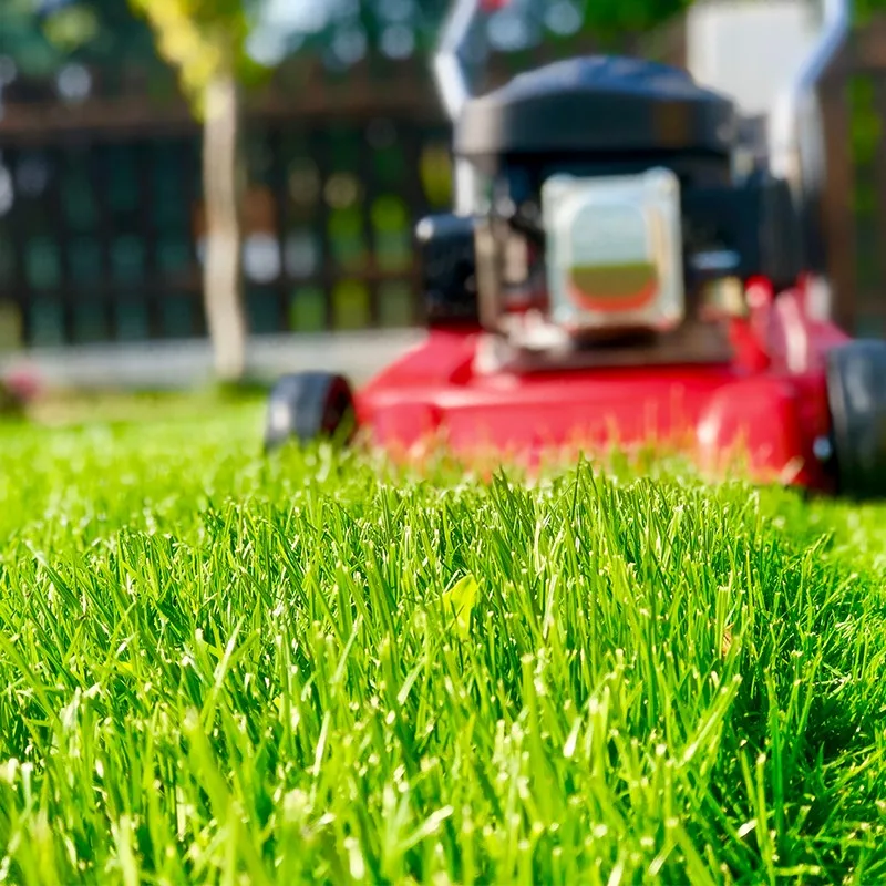 TEAMMAX CE 79.8cc 4-stroke gasoline self-propelled lawn mower