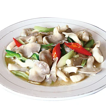 
Fresh Pleurotus geesteranus Brown Oyester Mushroom 