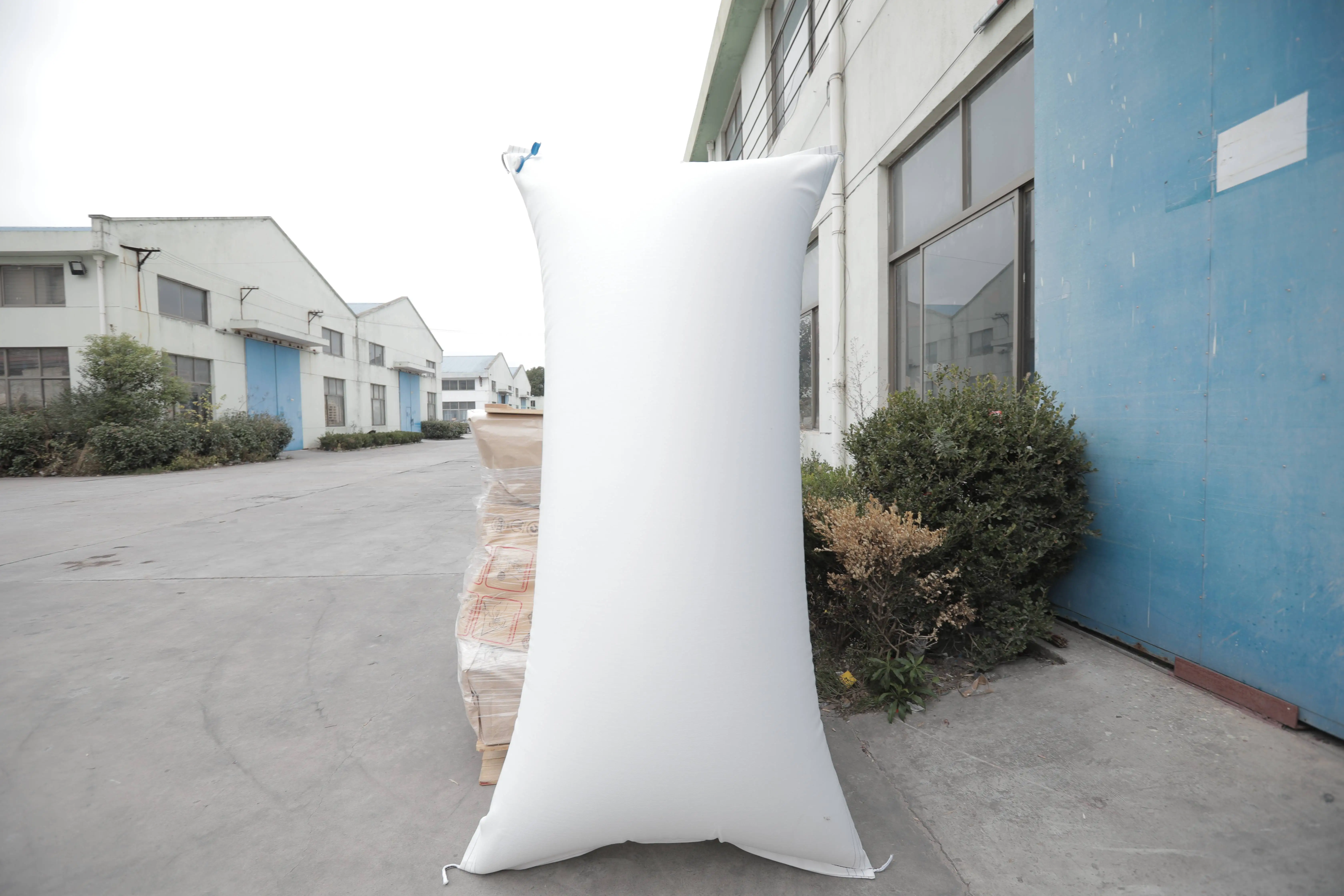 Wholesale Price PP Woven Dunnage Air Bag For Logistics