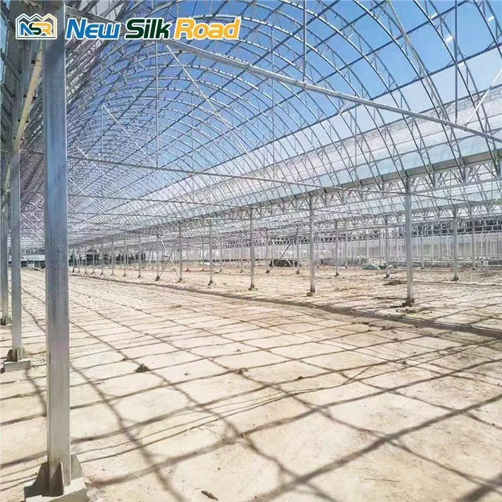 Large Economical Plastic Agricultural Greenhouse Double Single Layer Hot Dip Galvanized Steel Frame Plant Use PE ETFE Material