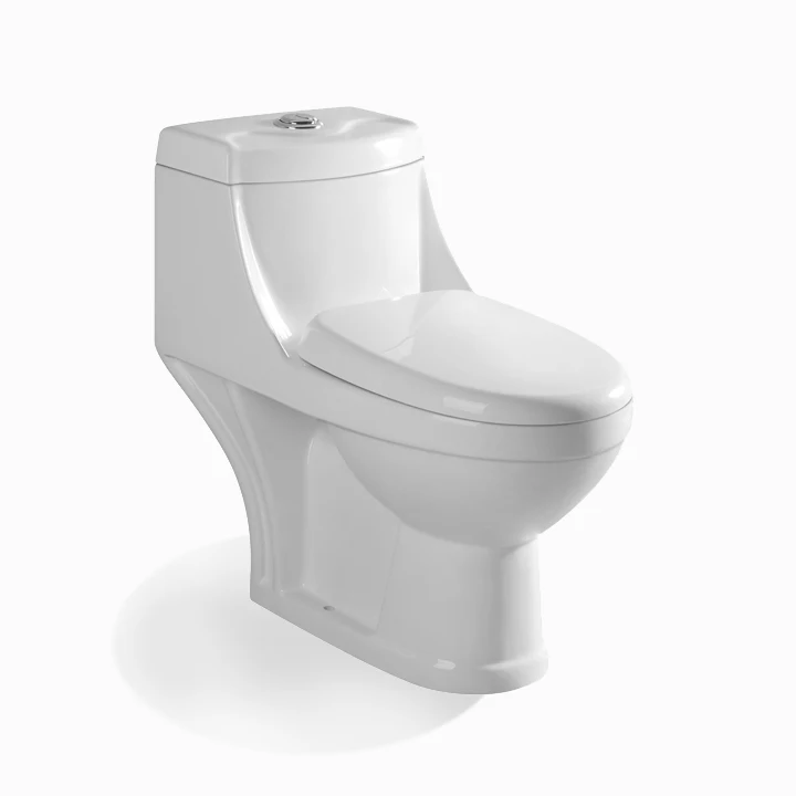 Hot Sale Wc One Piece Dual Flush Toilet Ceramic Vaso Sanitario Modern Inodoro with slowdown Cover Hotel CN;GUA