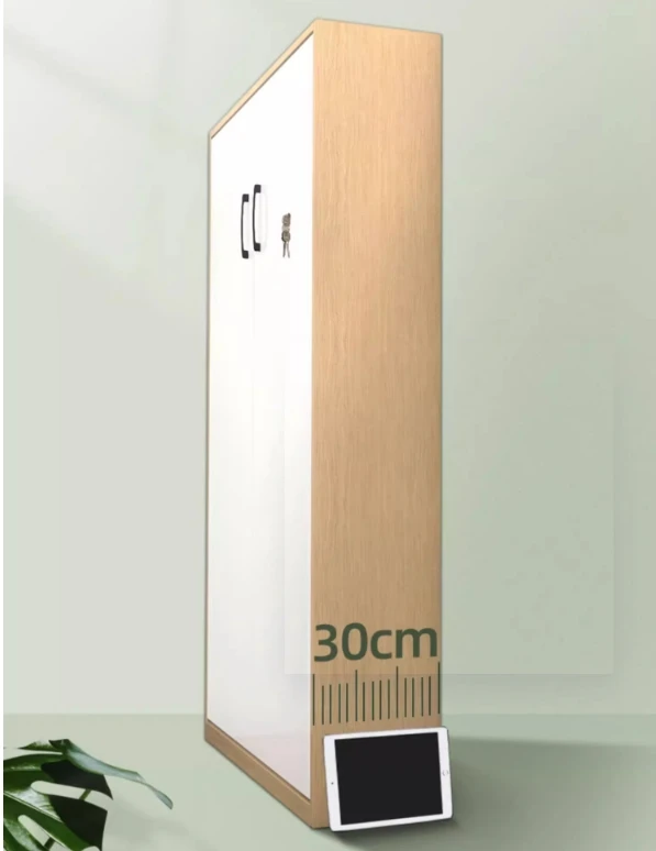 Murphy Wall Bed Hidden Sofa Bed Porch Cabinet Folding Multifunctional Flip Bed