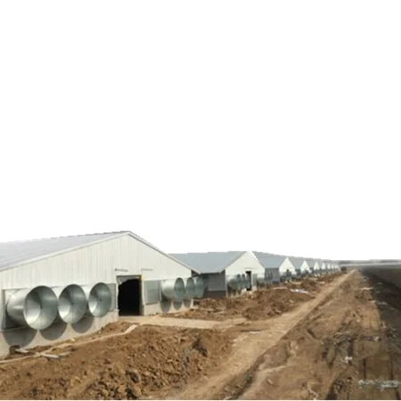 Стальная конструкция, птицеферма, куриная рама в Ямайке