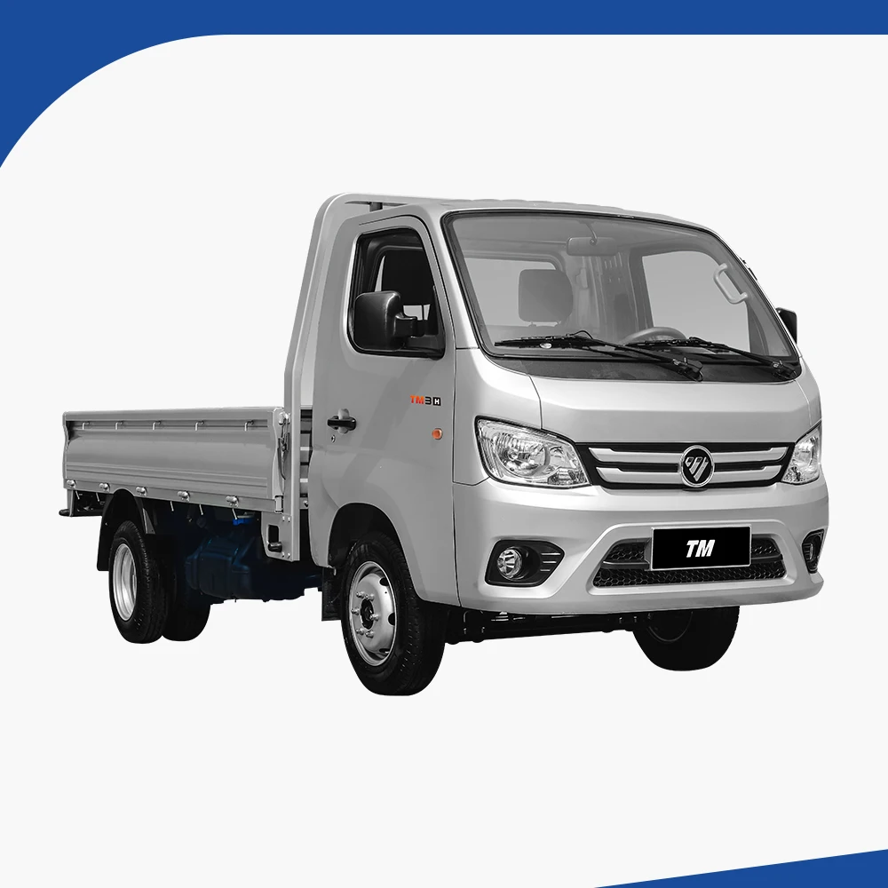 Top Market Foton Brand Light Duty 4x2 Fence Cargo Truck For Sale