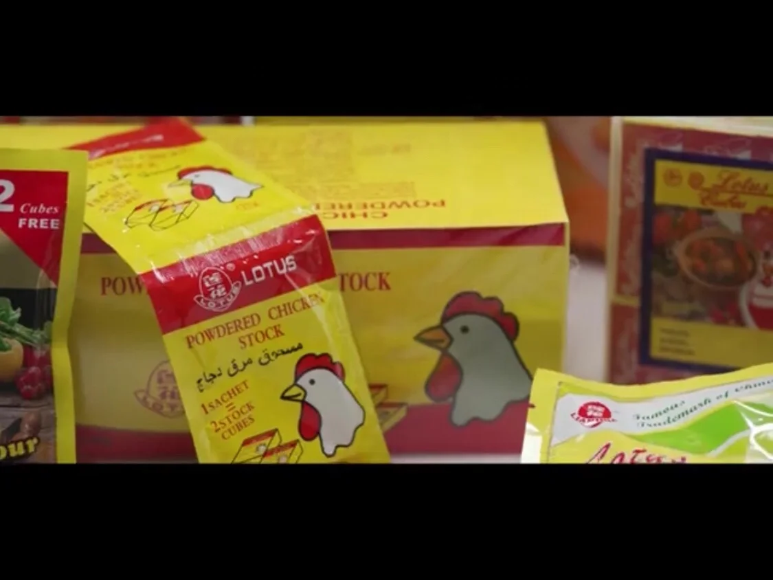 Seasoning chicken/shrimp/beef 10*60*24 cube in bulk cheap price