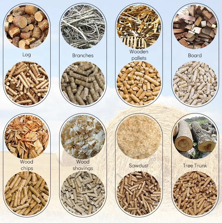 Peletizadora Rice Husk Wood Pellet Machine Biomass Fuel Wood Sawdust Straw Pellet Making Machine
