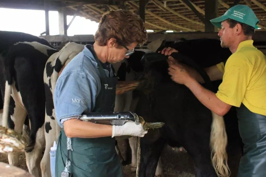 Ysenmed YSB3000 mini handheld Palmsmart b/w veterinary ultrasound machine pet vet farm animal sheep cow ultrasound machine