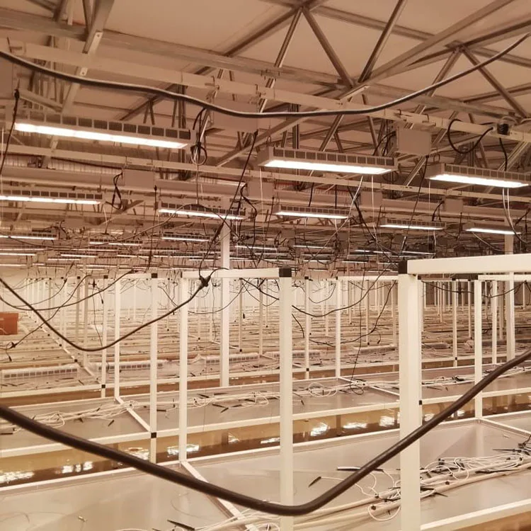 Waterproof Dimmable  full Spectrum 630w Indoor Strawberry Flowering Medical Plant greenhouse light grow lamp