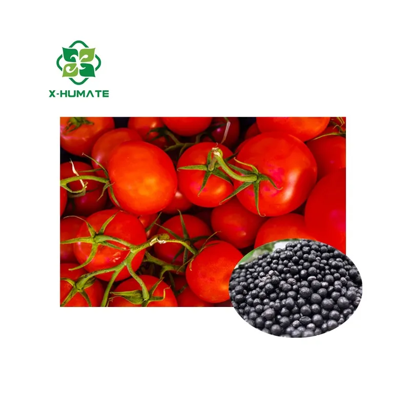 X-humate China Factory Supply Mineral Potassium Humic Fulvic Acid organic fertilizer