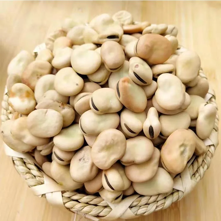 2021 new crop hot selling cheap price dry brown broad beans