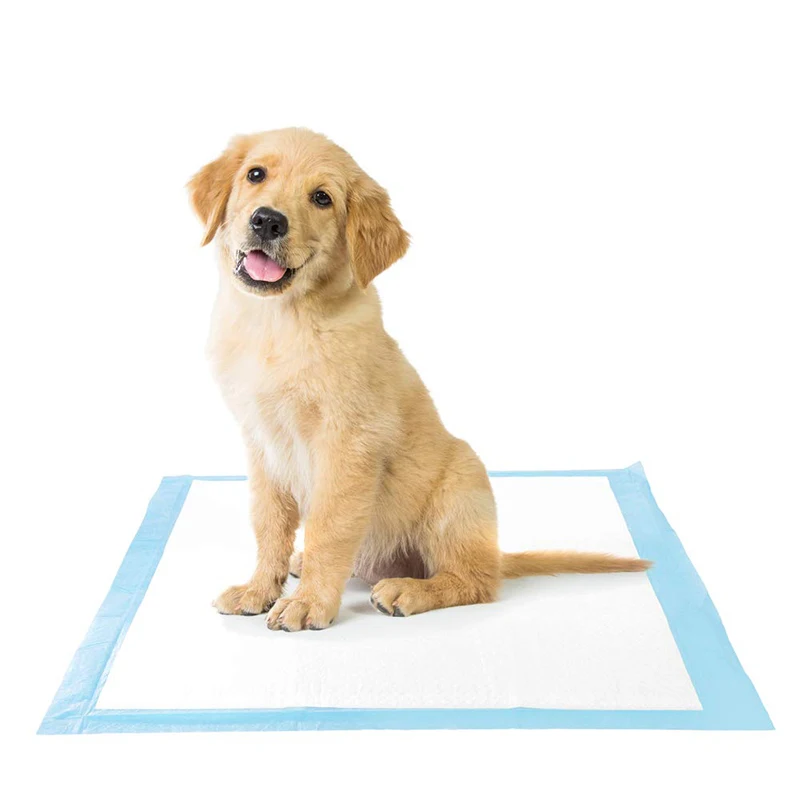 urin absorb absorbent puppy cool diaper under dog pee holder car training cooling disposable pet urine pad