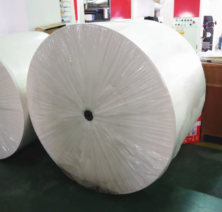 China Manufacture Professional waterproof white offset coated paper in roll for paper cup