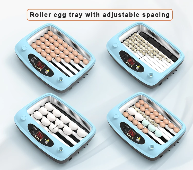 Poultry Egg Equipment Fully Automatic 15 Eggs Capacity Small Egg Incubator