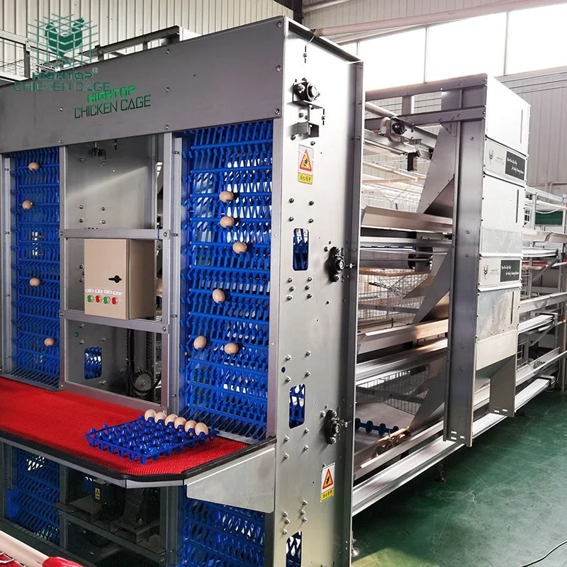 Automatic H Type Poultry Layer Cage Egg Laying Hen Chickens Battery Cages For Layer Chickens For 5000 Birds