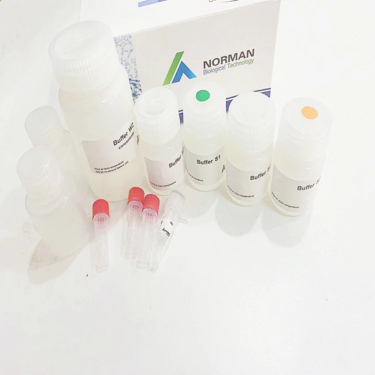 
Cheap price real time multiplex RT-PCR detection testing kit for detection kit 