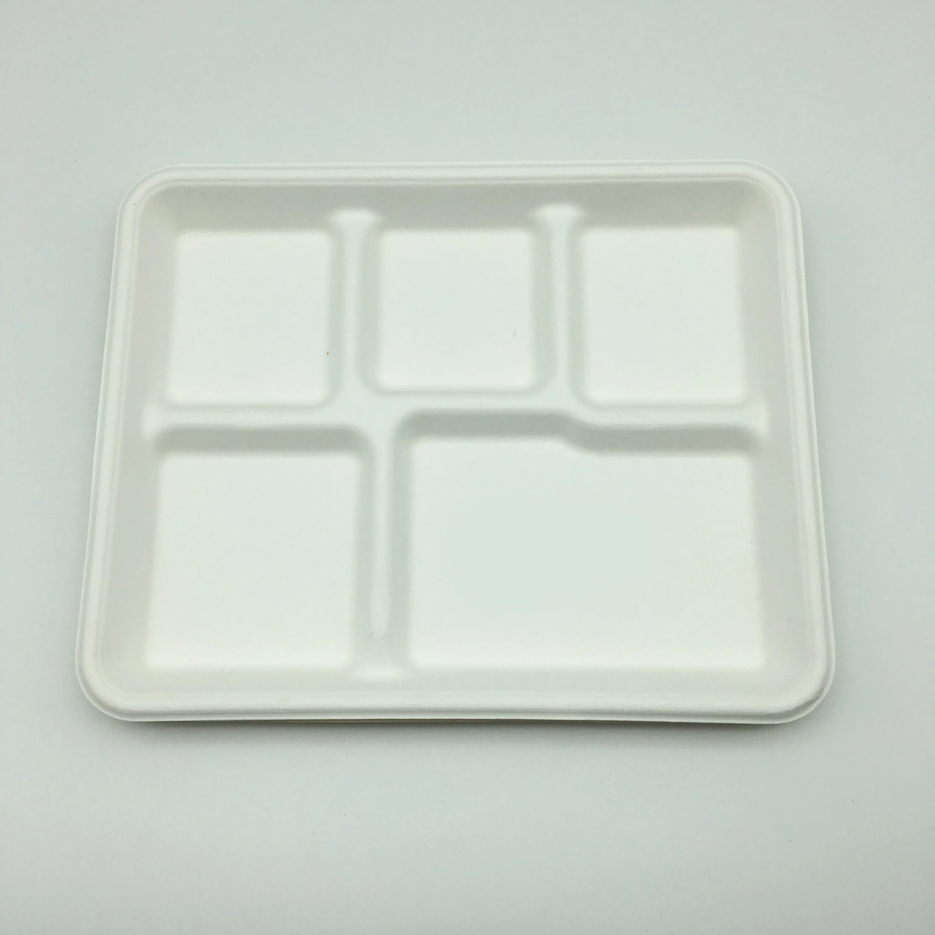 Biodegradable Bagasse Tableware 5 Compartment Food Tray Dishes Plates School Food Container