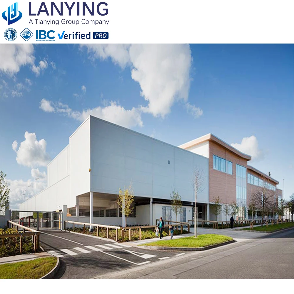 Low Cost Prefabricated Steel Structure Sports Hall Economical Warehouse Building Hall for Sports Use