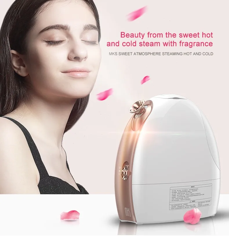 Support Sample Professional Portable Mini Mist Hot And Cold Ionic Vapor Ozone Facial Steamer