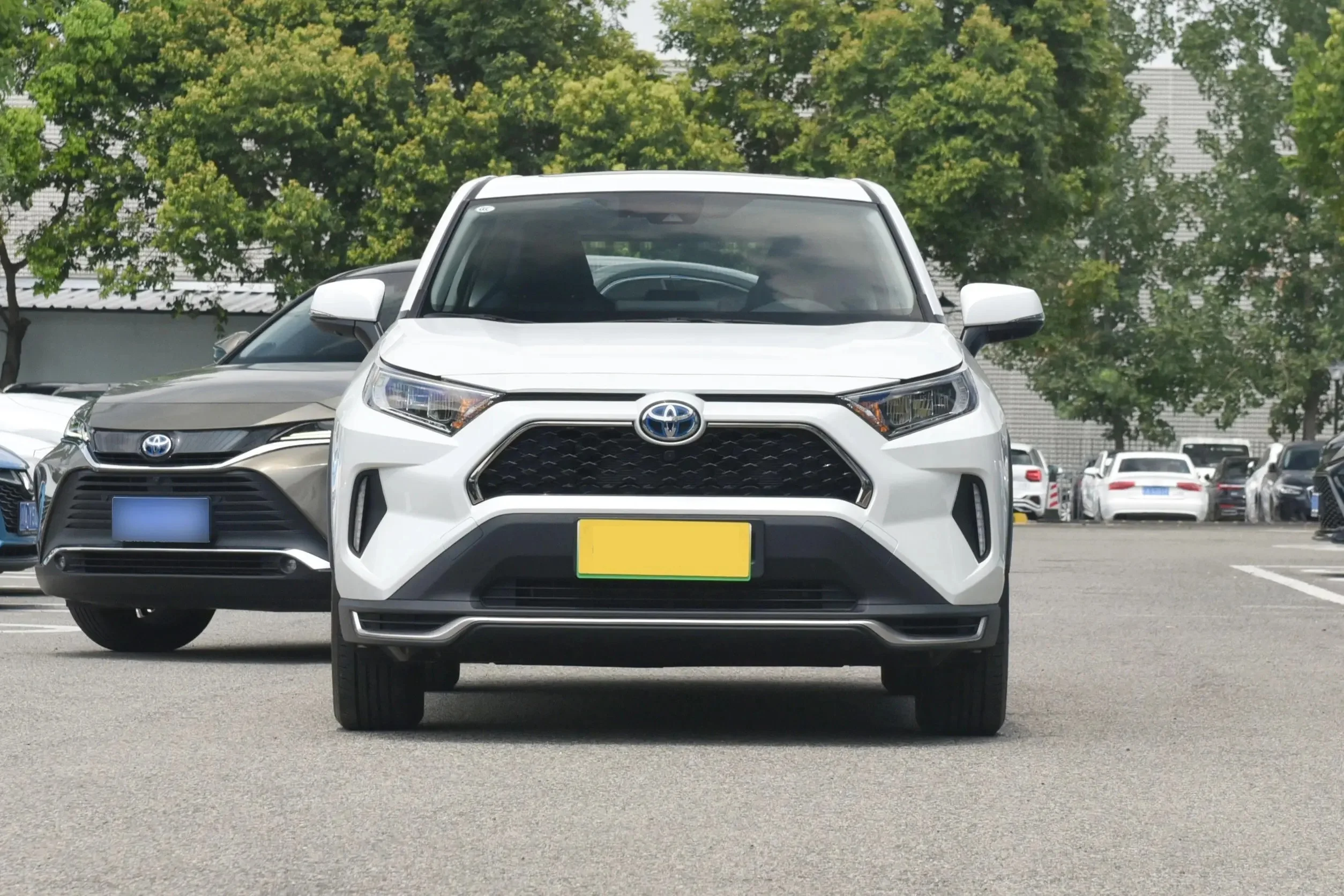 Toyota RAV4 rongfang 2024 2023 японские гибридные автомобили удобный семейный внедорожник