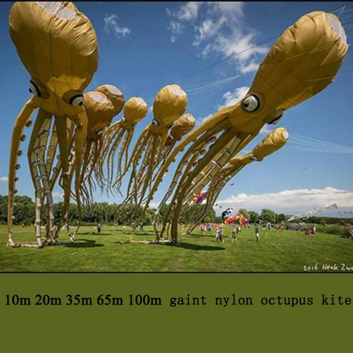 Professional kitesurfing  octopus kite