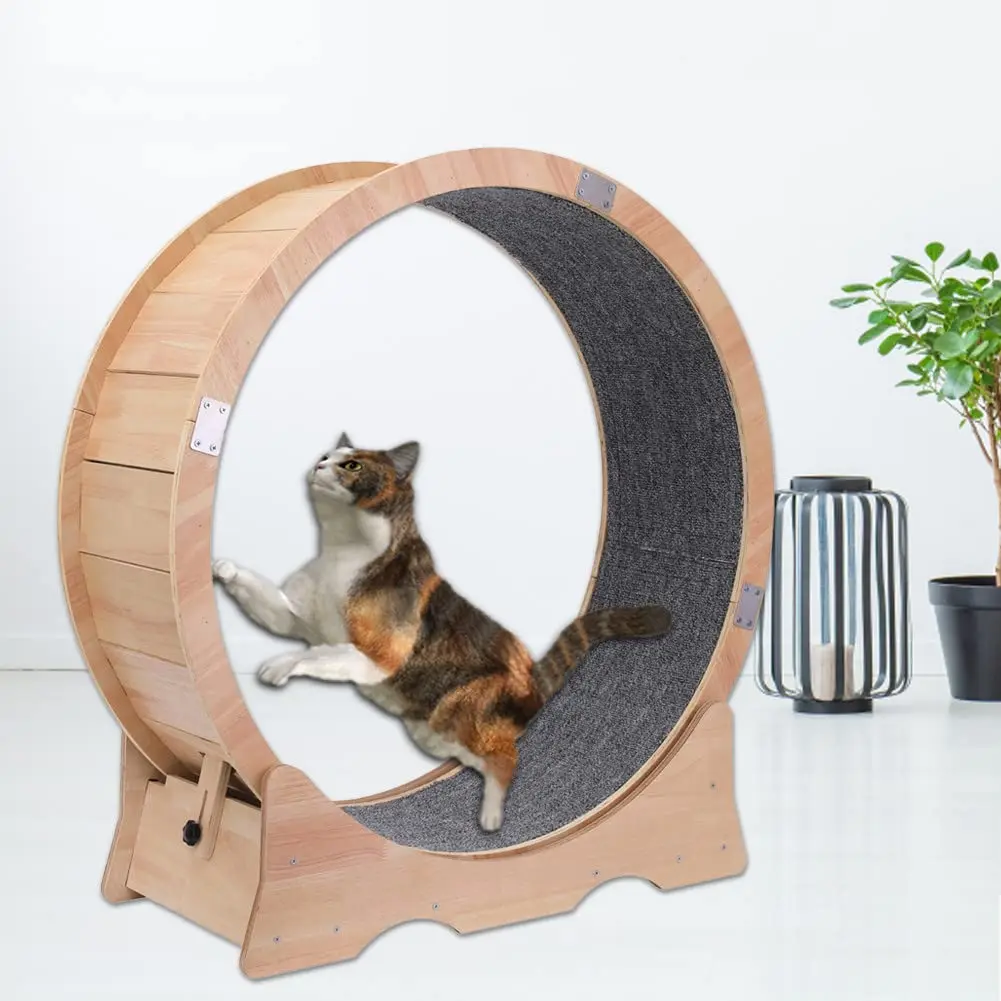 Factory Direct Sales Firm Mute Cat Treadmill Cat Running Wheel