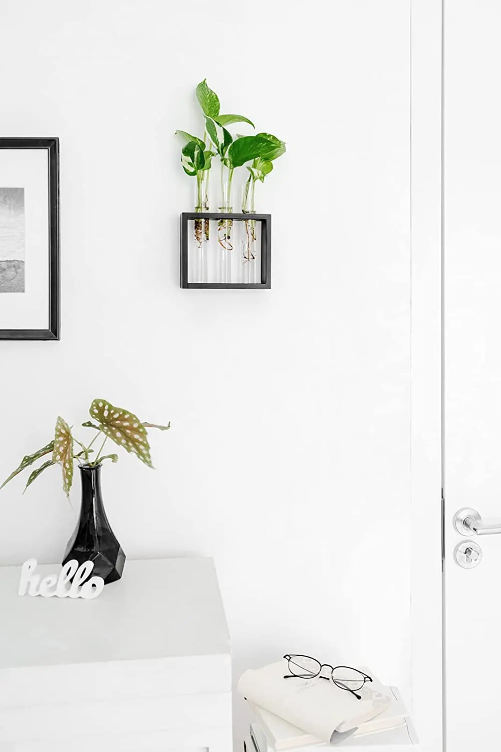 Wholesale Black Wall Hanging Glass Planter Plant Terrarium Modern Flower Bud Vase