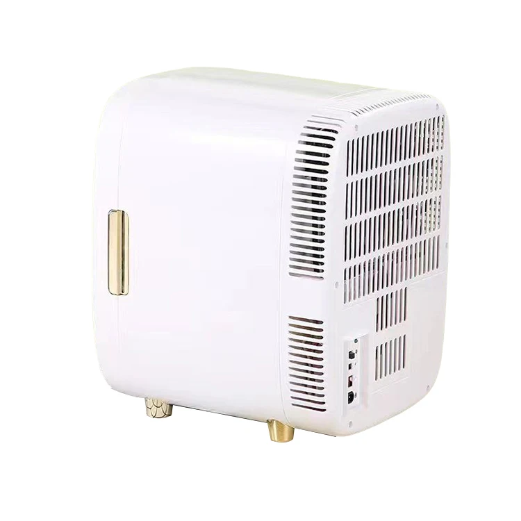 2022 new portable makeup refrigerator with mirror