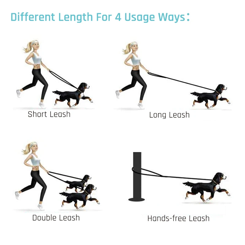 Multifunctional Eco-friendly Double Heads Waterproof Pvc Tpu Pet Dog Leash