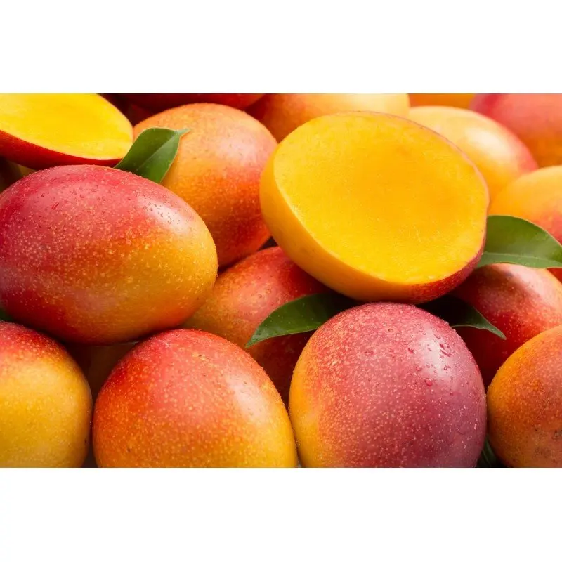 
High Quality Fresh Fruit Keitt Mango 