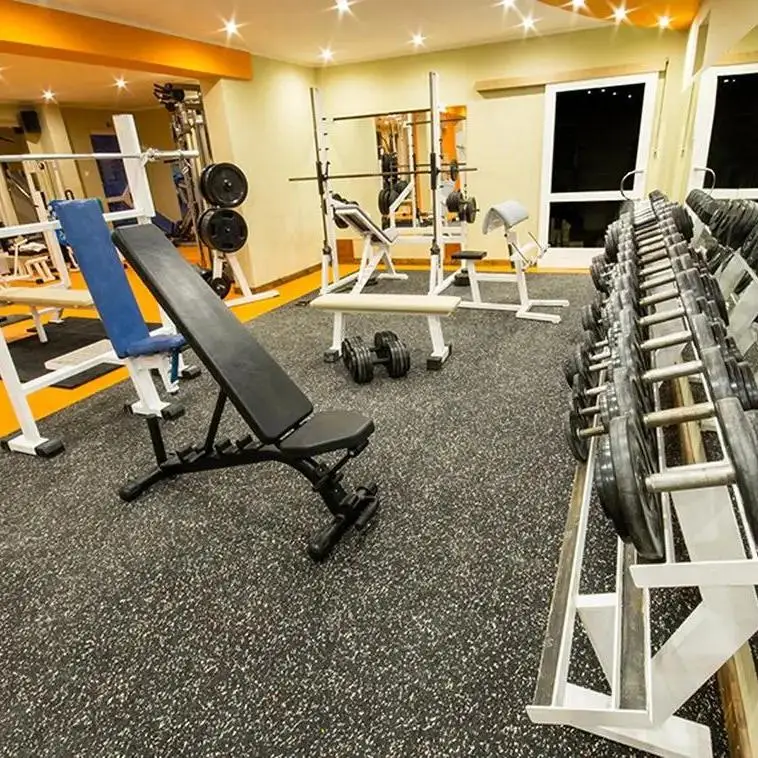 Factory hot selling high quality rubber gym mat rubber flooring gym rubber tiles gym matts exercise mat