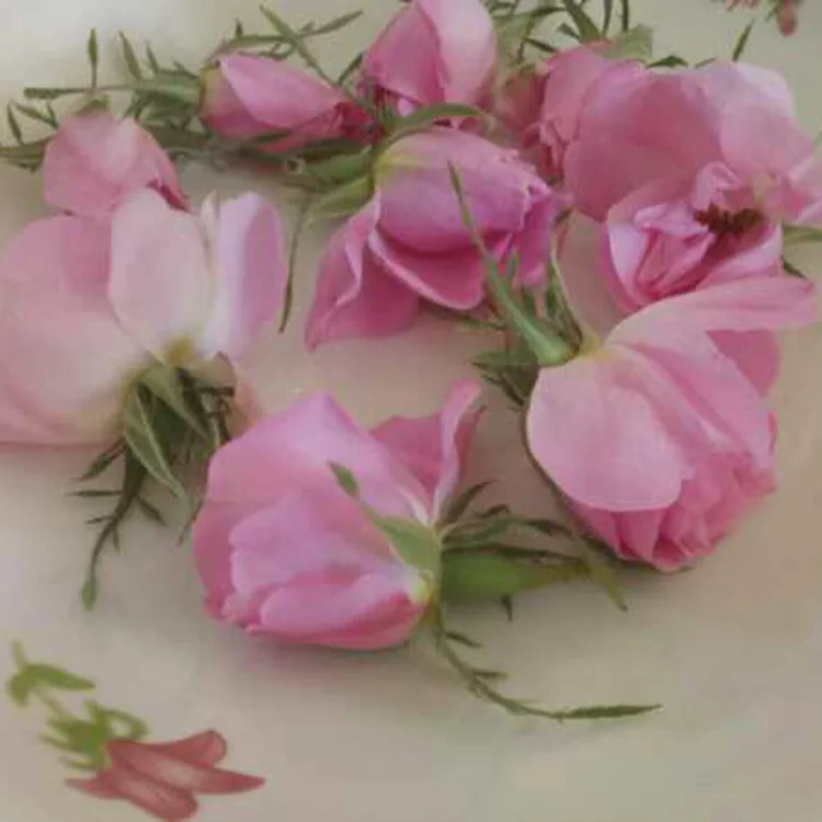 4015 Wholesale Natural Dried Damask Pink Rose Buds Tea Flavor Tea Edible Dry Rosa Damascenarose Flower
