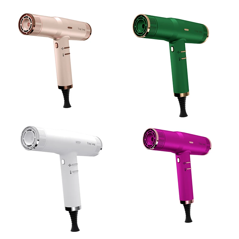 Customized Wholesale High Speed Hair Dryer Brush Hotel Salon Negative Ion Hair Dryer