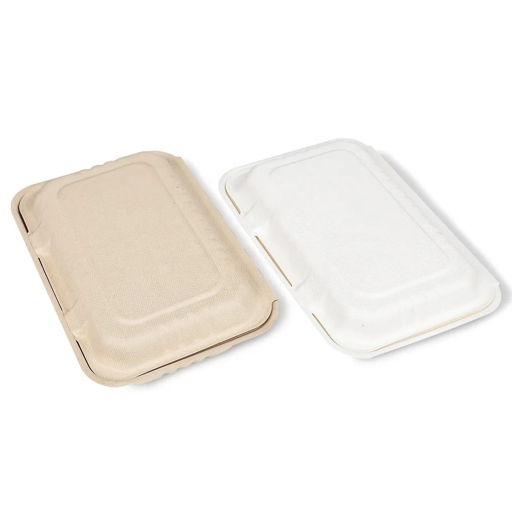 Custom logo restaurant takeaway microwave safe food grade 2 compartment bento box Bagasse Clamshell