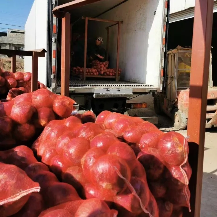 Chinese Fresh Yellow Onion Cheap Price Red Onions Export to Korea