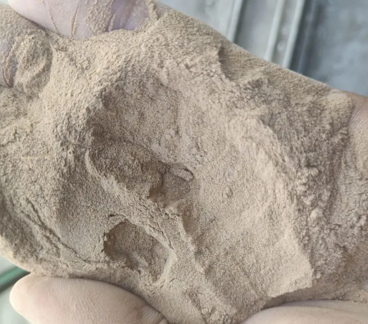 Phosphorus-dissolving Bacteria Bacillus Megaterium