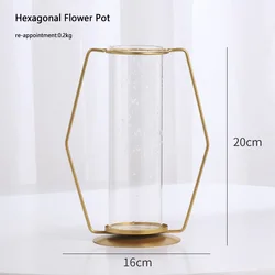 Plant Round Glass Bottle Hydroponic Glass Vase For Flower Or Water Plant With Metal Support For Home decoration