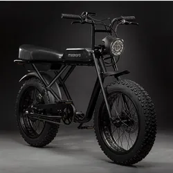 High Quality Custom 500W Motor Dirt Tire Style Off Road Ebike Vintage Beach Electric Bike