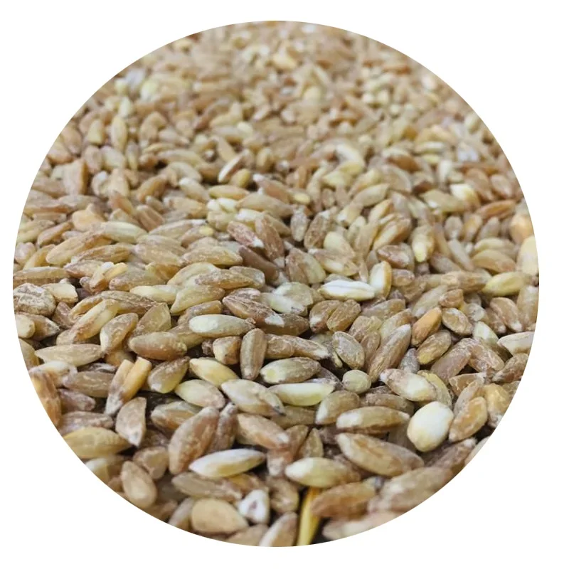 Оптовая продажа, органическое зерно пшеницы без ГМО Dehulled Emmer
