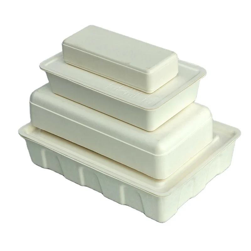 Cardboard Cosmetic Perfume Packaging Boxes Gift Box Molded Pulp Pizza