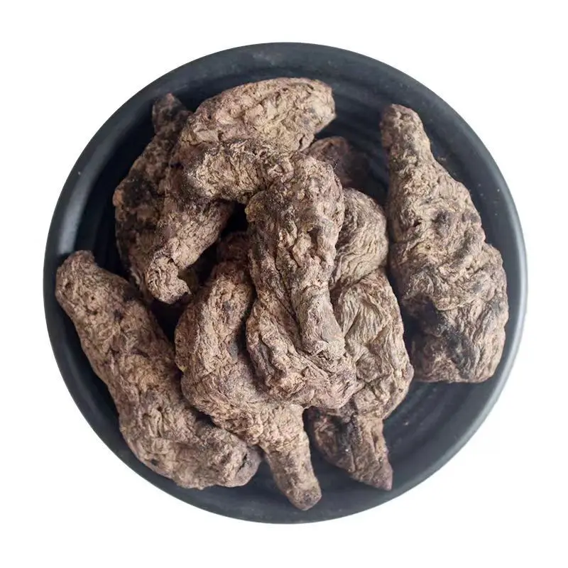 New Arrival High Quality Dried Sheng di huang Chinese herbs raw Rehmannia glutinosa
