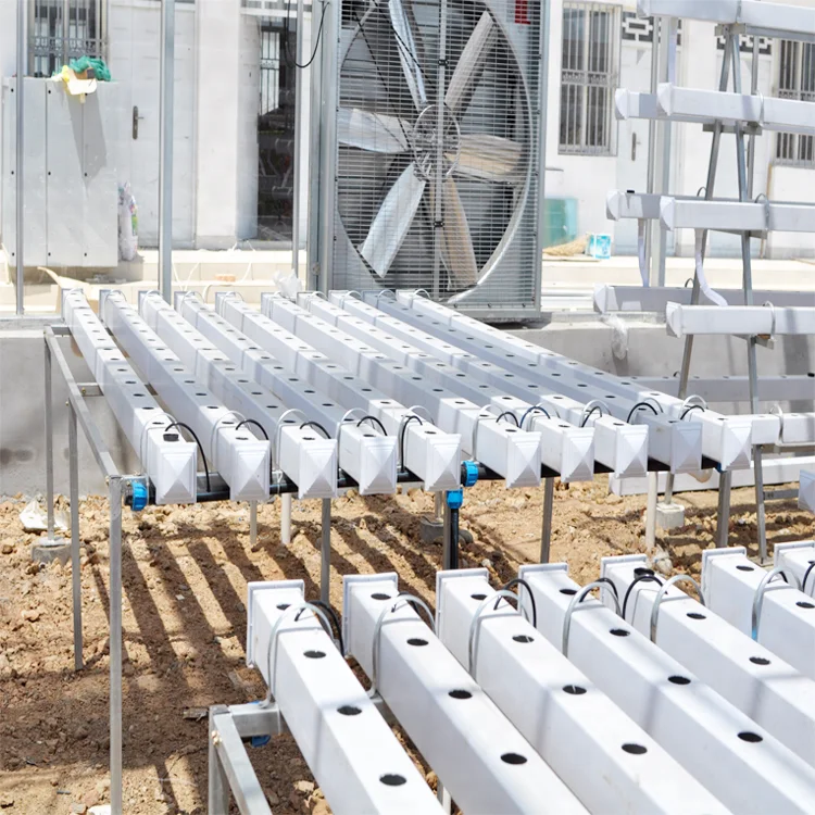 Hydroponic System for Agriculture