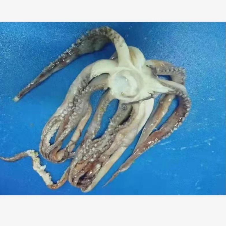 
Good Sale Seafood Fish Frozen Peru Squid 