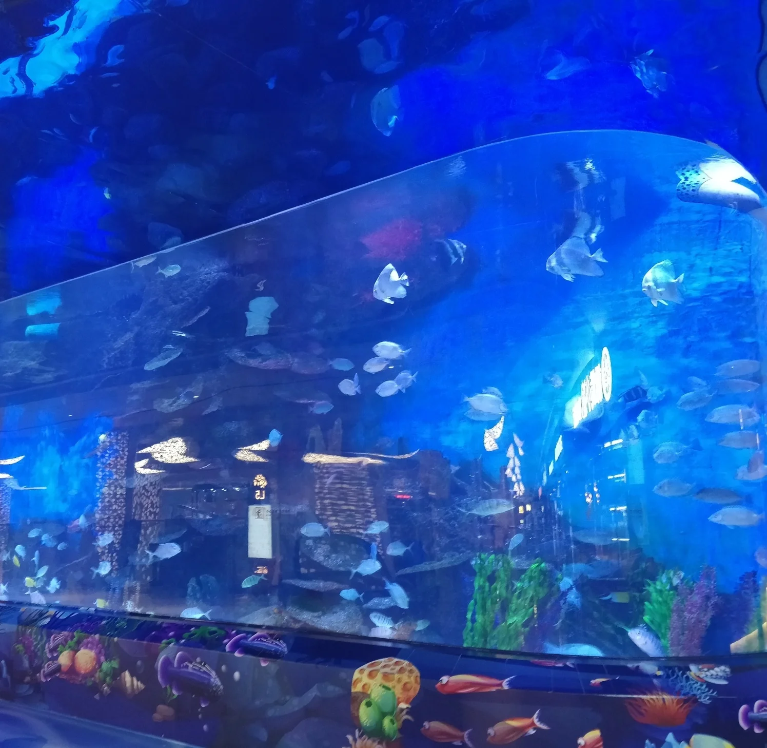 L-образный большой декоративный аквариумный акриловый лист