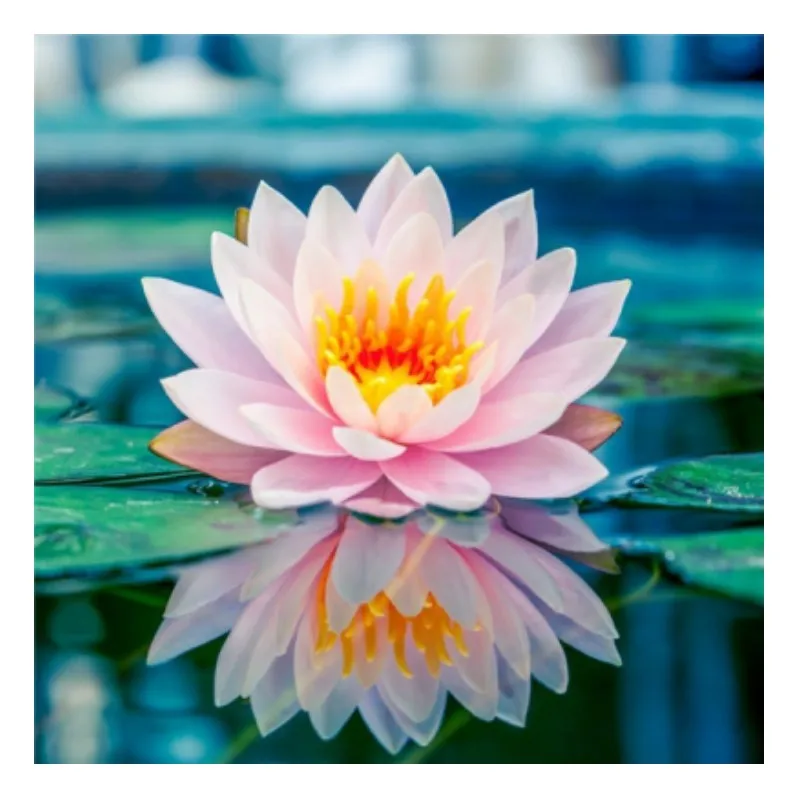 HUACAN Full Drill Square Diamond Painting Lotus Diamond Embroidery Flower Picture Of Rhinestones Mosaic Cross Stitch Home Decor