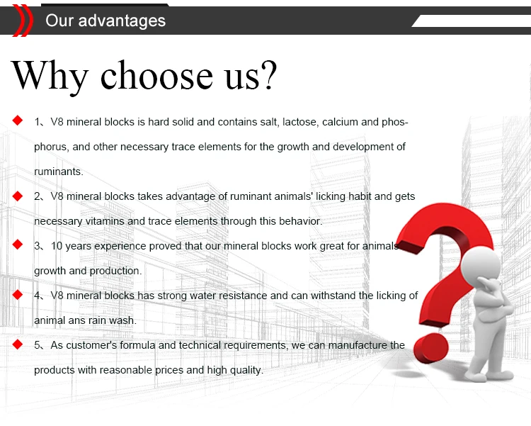 nutrition mineral block