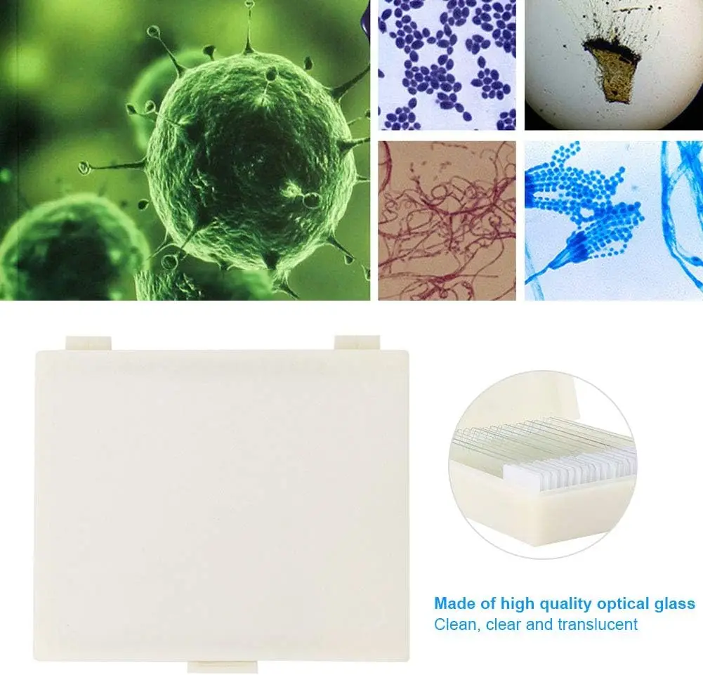Microscope Prepared Slides 100 Plants and Animal Tissues Includes Labels and Case for Biological Science Education