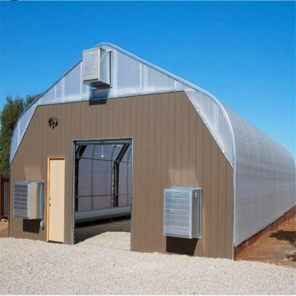 Tunnel Greenhouse for Agriculture