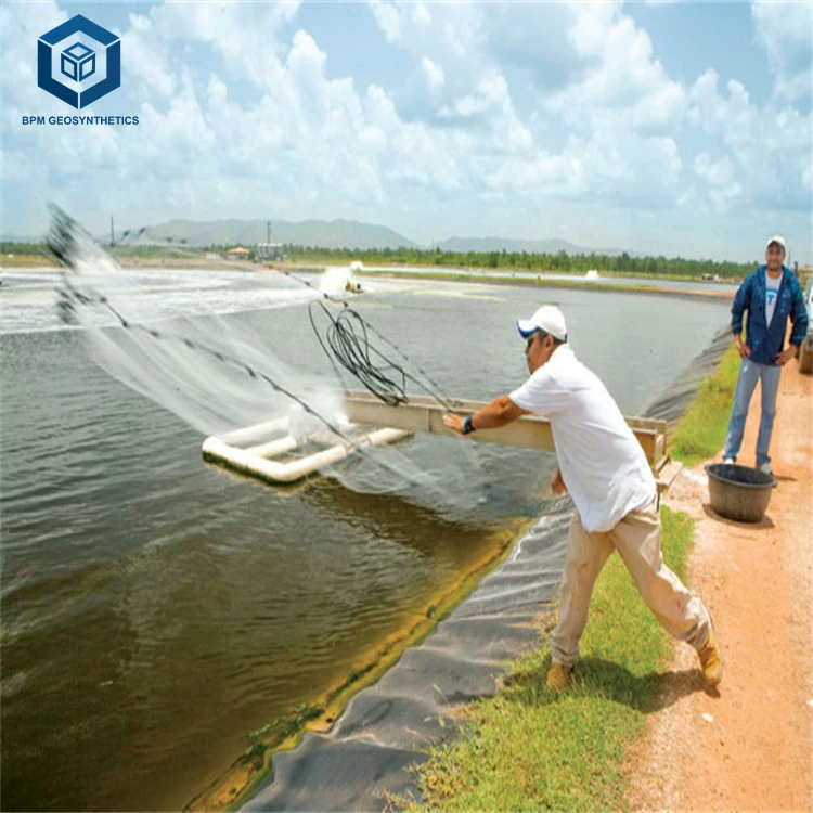 HDPE Geomembrane Aquaculture Farm Plastic Fish Pond