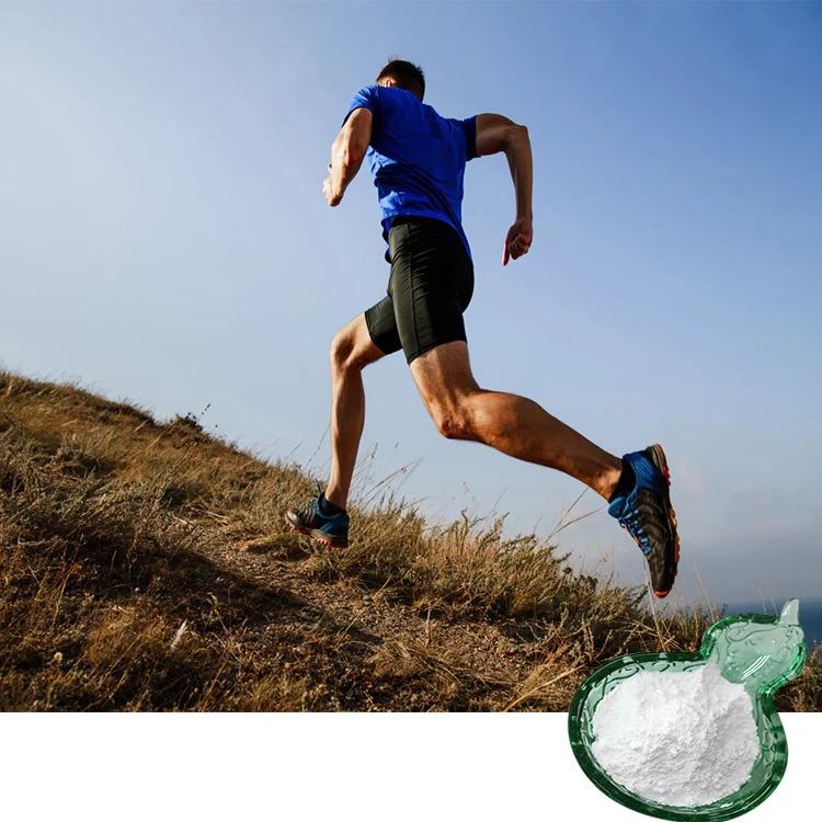 
lcarnitine for weight loss L-carnitine Fumarate 