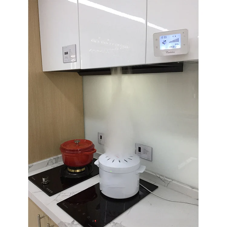 
High End Customize Built-in Kitchen Appliances Range Hood 